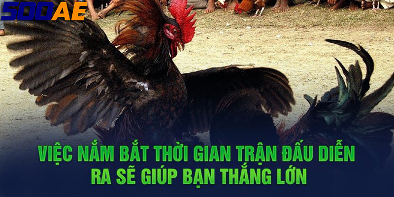 Đăng Ký 500AE - Kho Game Nổ Hũ Thần Tài Cực Hot Đang Chờ Bạn